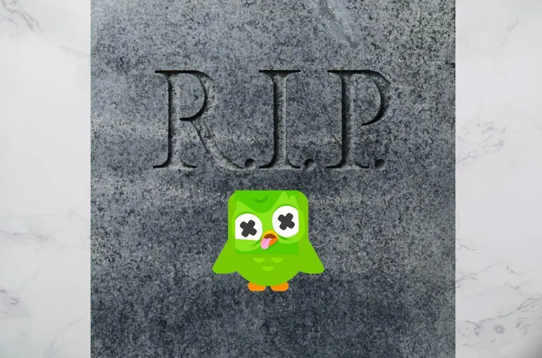 A coruja do Duolingo morreu? Saiba mais sobre esse mistério