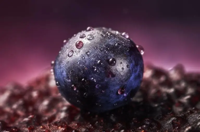 Açaí não é só uma sobremesa