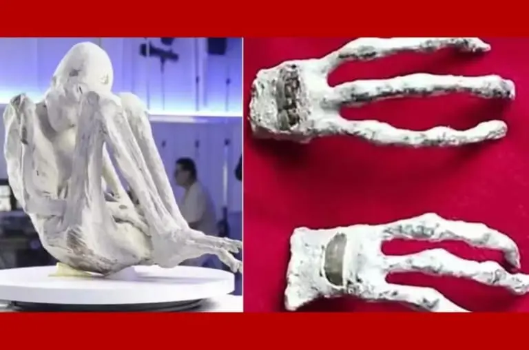Achado de metal raríssimo em múmia peruana reabre debate sobre origem alienígena