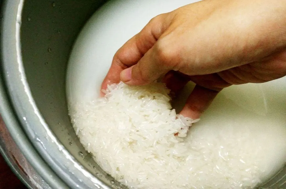 Afinal, devemos ou não lavar o arroz antes de cozinhá-lo? saiba os prós e contras