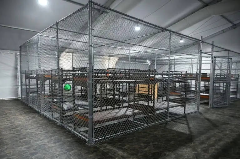 'Alligator Alcatraz': a prisão criada por Trump para imigrantes