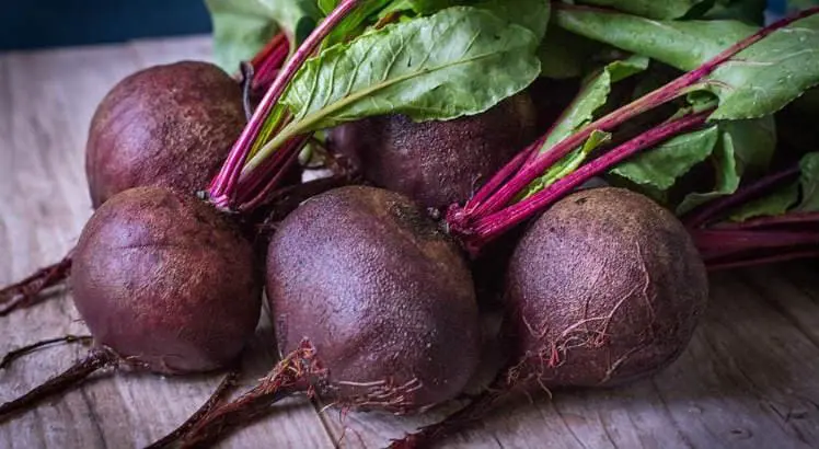 Beterraba: os desconhecidos benefícios do alimento