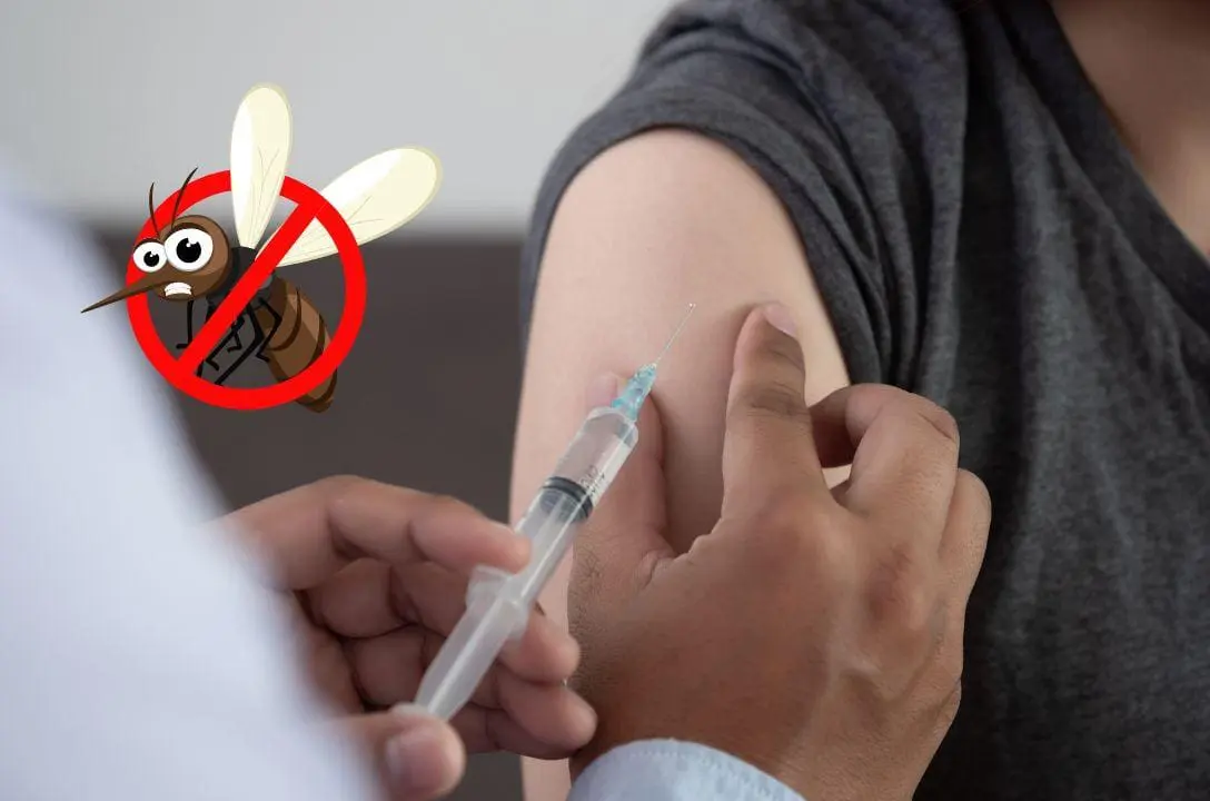 Butantan desevolve vacina única contra dengue