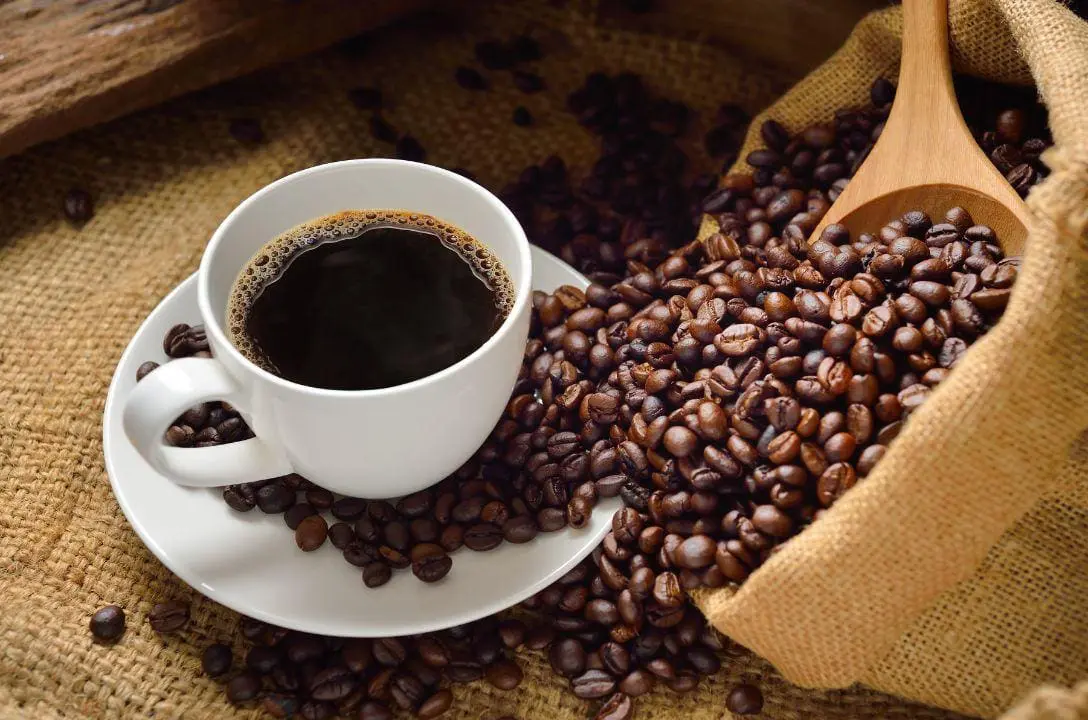 Café: amigo do dia a dia, vilão do colesterol?