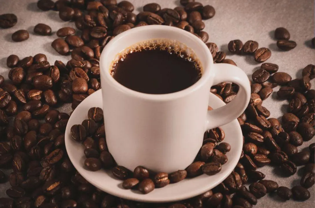 Café é aliado contra doenças e pode prolongar sua vida