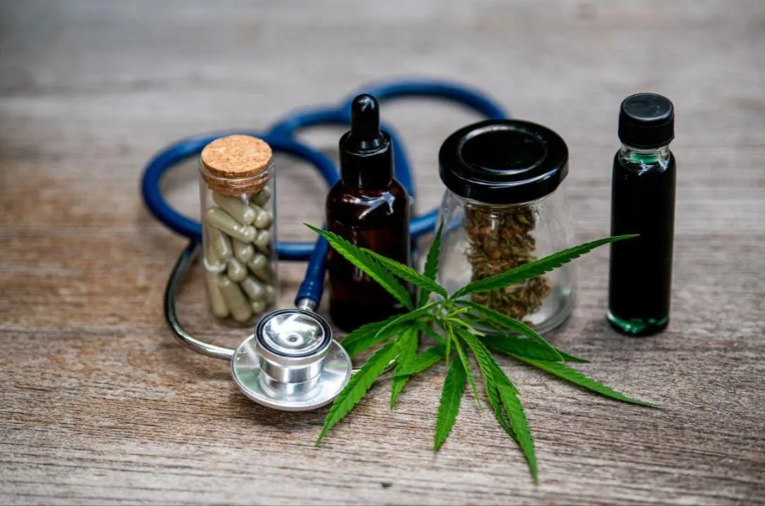 Cannabis medicinal - Como iniciar o tratamento legalmente?