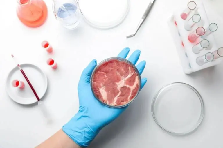 Carne sem abate de animais - o avanço que pode mudar o mundo