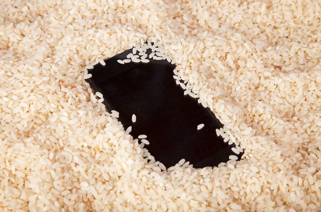 Celular molhou.. Colocar no arroz é a solução? O que fazer?