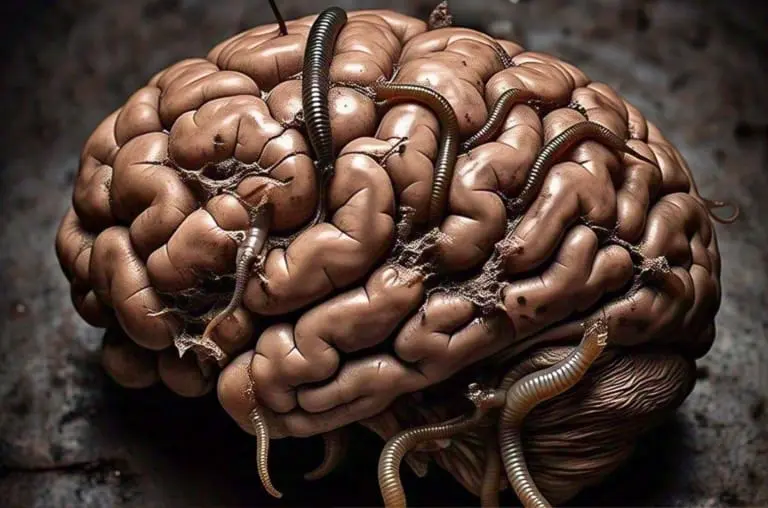 Cérebro podre - 'brain rot', expressão do ano eleita pelo Dicionário Oxford, entenda: