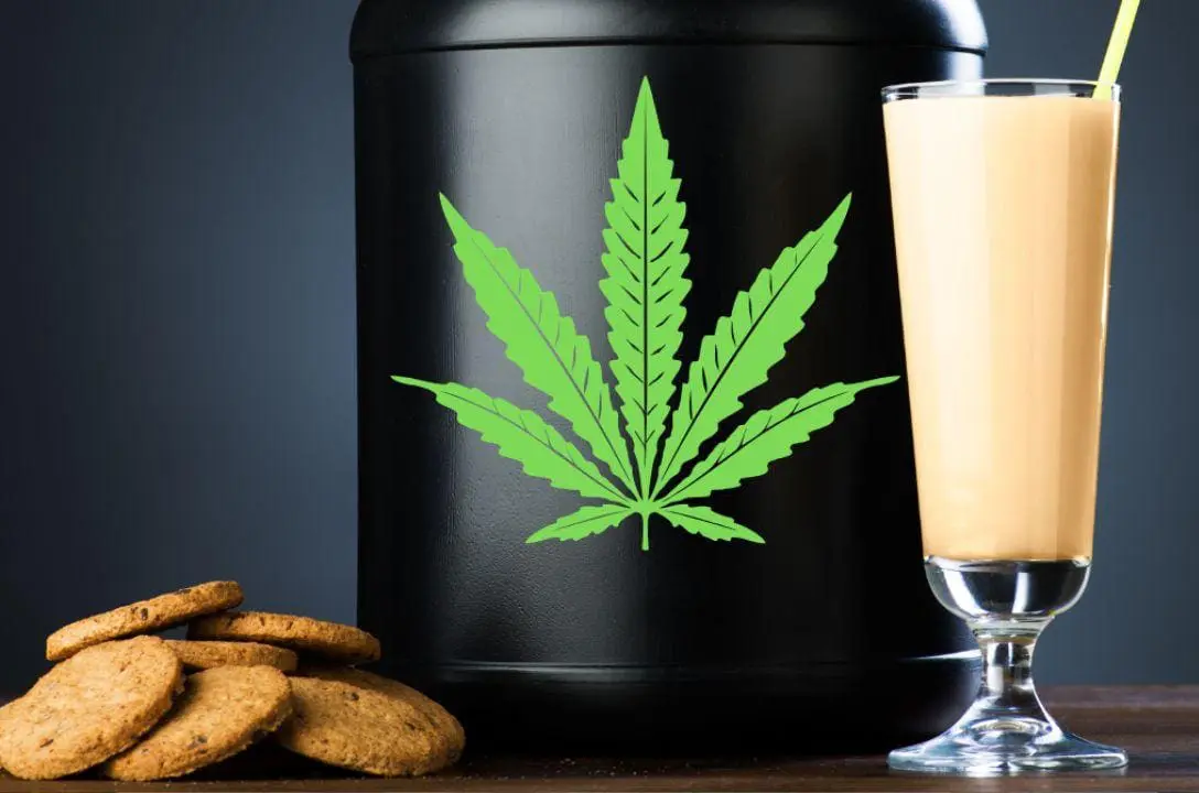 Chapado e trincado - Whey de maconha ajuda no ganho de músculos e previne doenças cardíacas