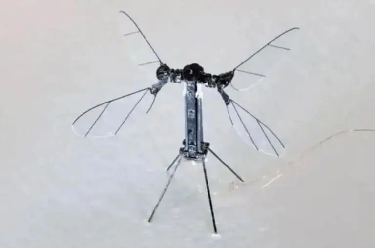 China revela drone assustador do tamanho de um mosquito