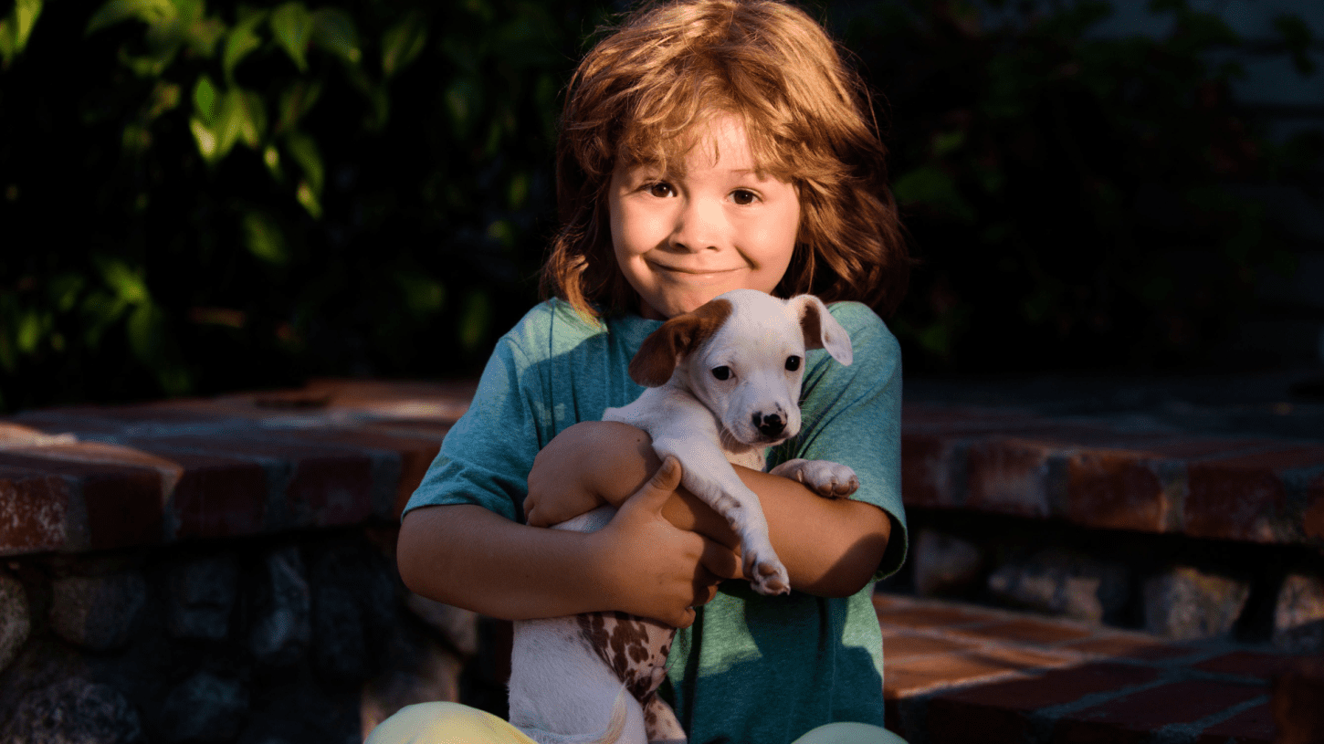 Cidade na Itália tem mais cachorros que crianças