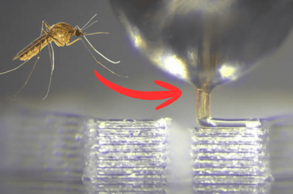 Cientistas conseguem usar "ferrão" de mosquito para impressão 3d