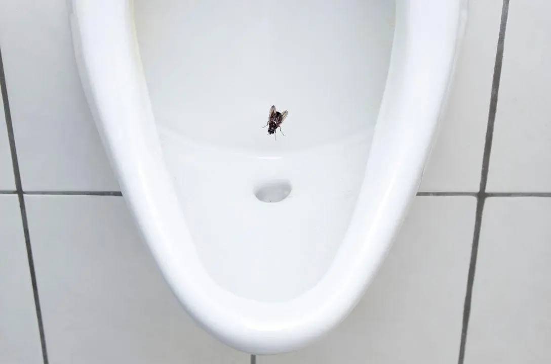 Como uma mosca no mictório economizou milhões em limpeza
