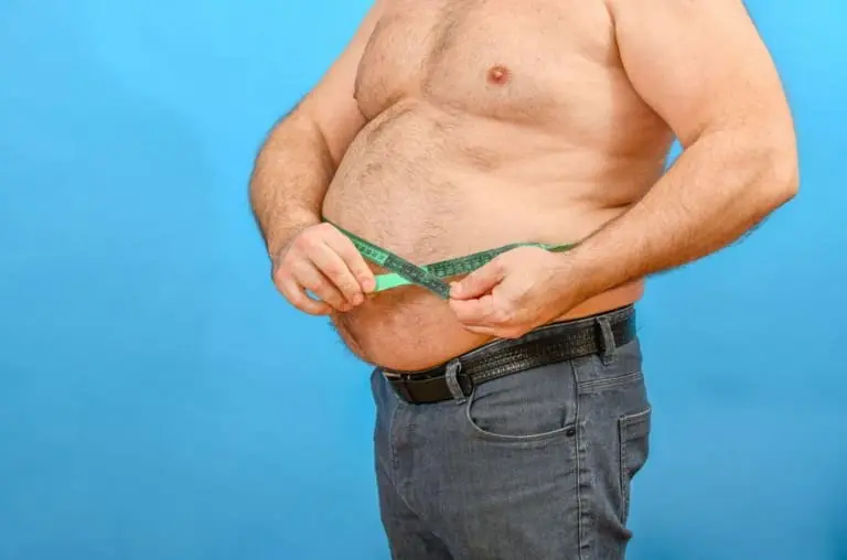 Efeito Sanfona - Estudo mostra que obesidade tem memória nas células