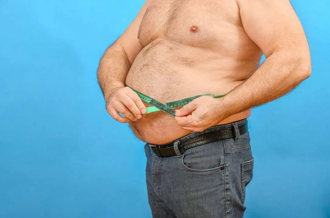 Efeito Sanfona - Estudo mostra que obesidade tem memória nas células