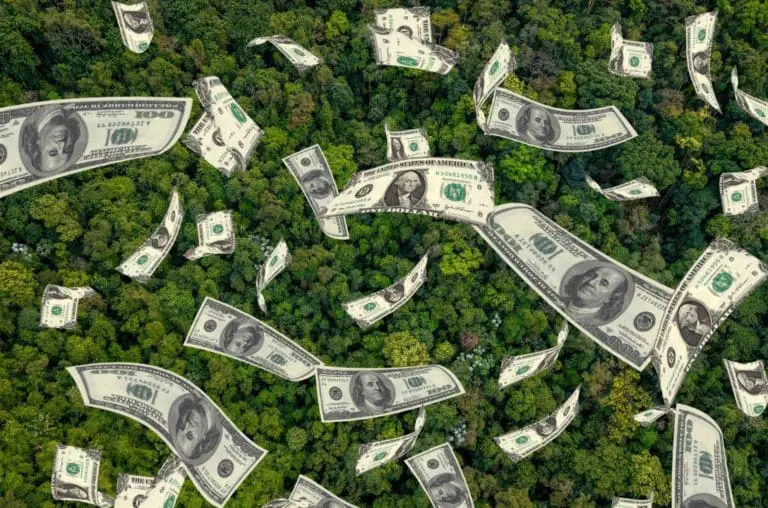 Entenda a fraude envolvendo o Banco Master e créditos de carbono