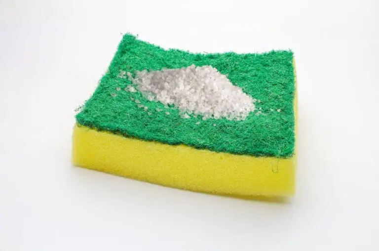 Entenda por que as pessoas estão colocando sal na esponja e guardando na geladeira