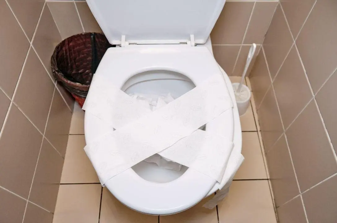 Estes 8 itens nunca devem ser descartados no vaso sanitário