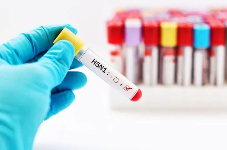 EUA registram segundo caso de gripe aviária em humanos. Devemos nos preocupar?