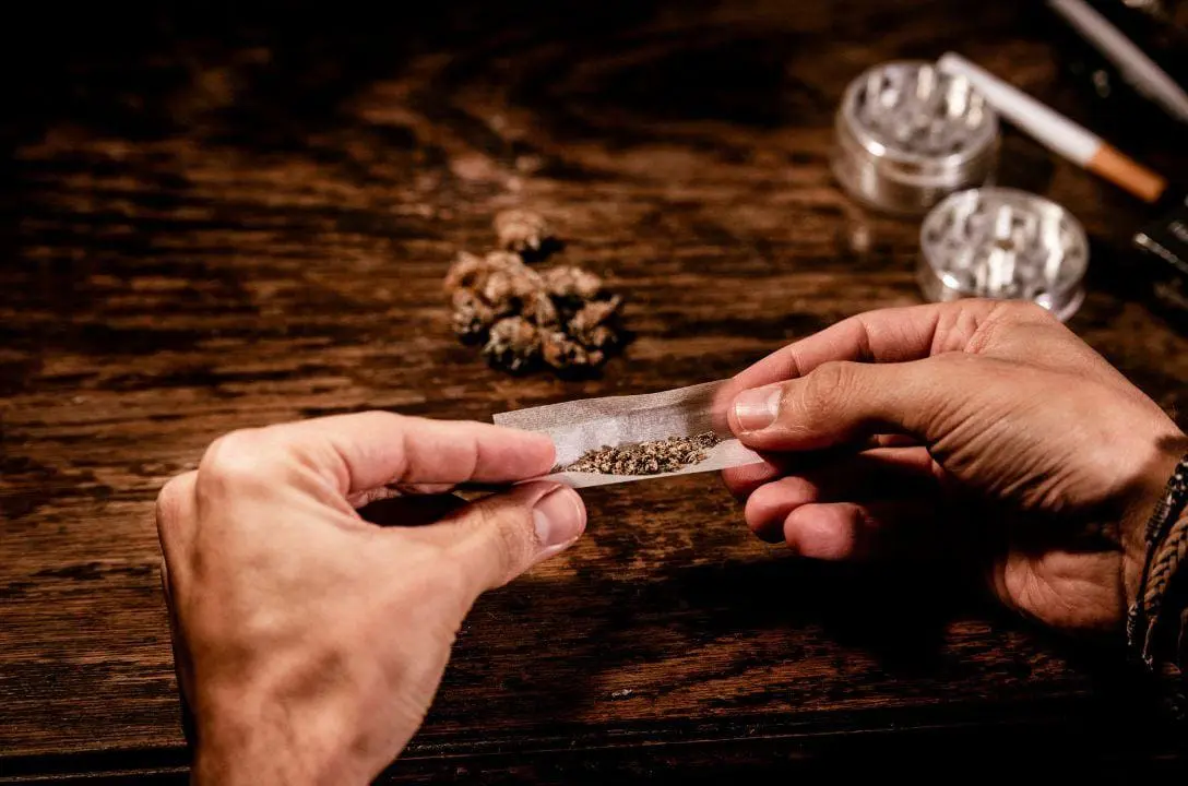 Existe um limite seguro para consumo de maconha? Entenda: