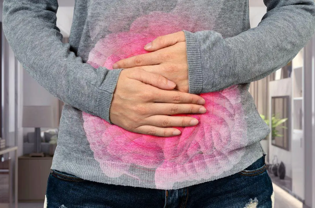 Intestino e cérebro têm mais em comum do que você pensa