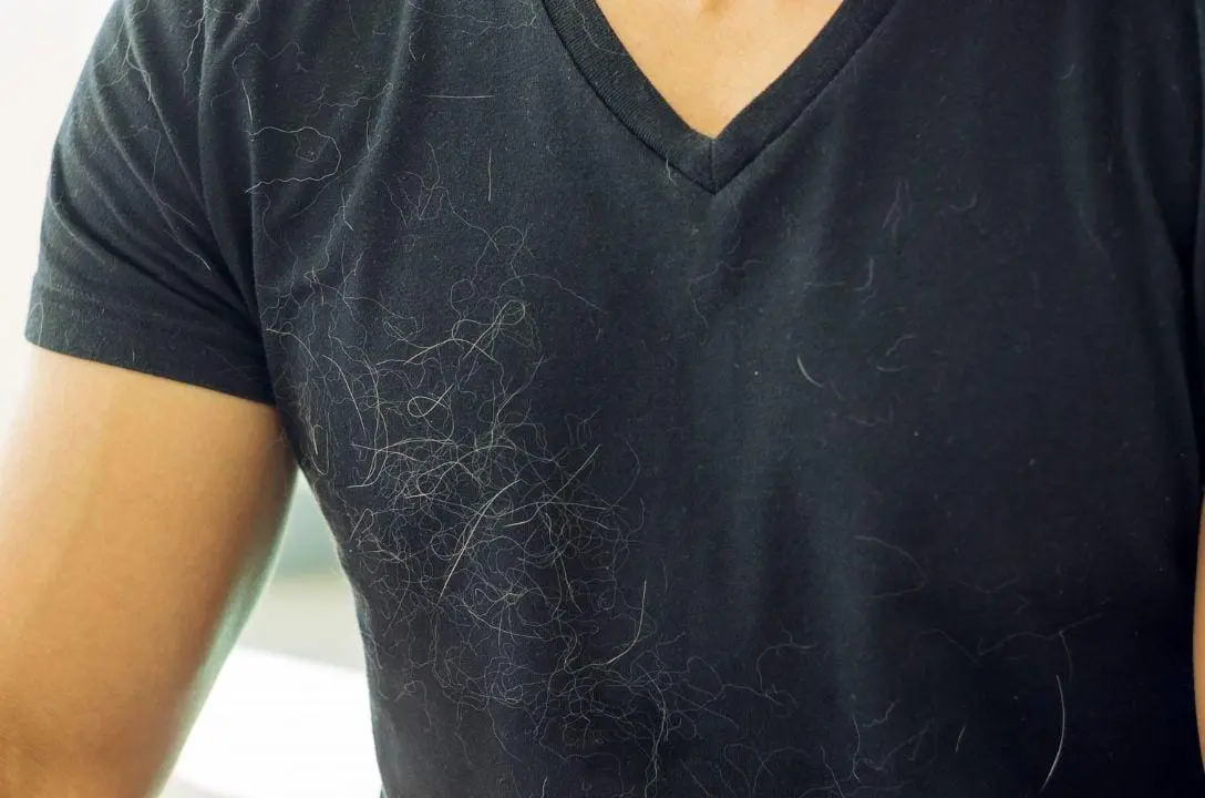 Já imaginou que pelos de gato nas roupas virou moda?