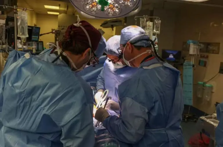 Médico brasileiro lidera histórico transplante de rim de porco para ser humano