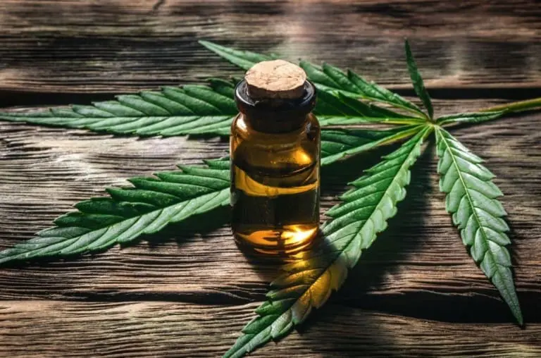 Microdoses de Cannabis mostram efeito em idosos com Alzheimer