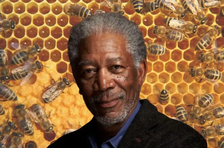 Morgan Freeman criou um santuário para abelhas em seu rancho