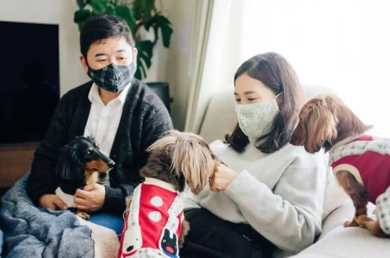 No Japão, há mais pets do que crianças! Descubra o motivo