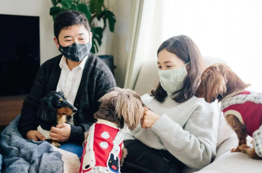 No Japão, há mais pets do que crianças! Descubra o motivo