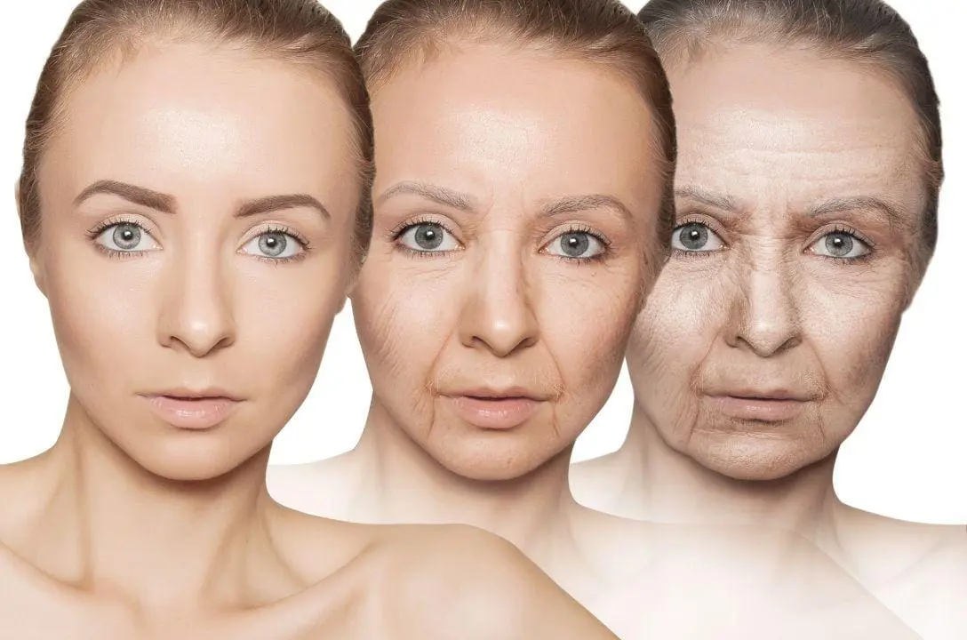 Nosso corpo envelhece em três ondas - Aos 34, 60 e 78 anos