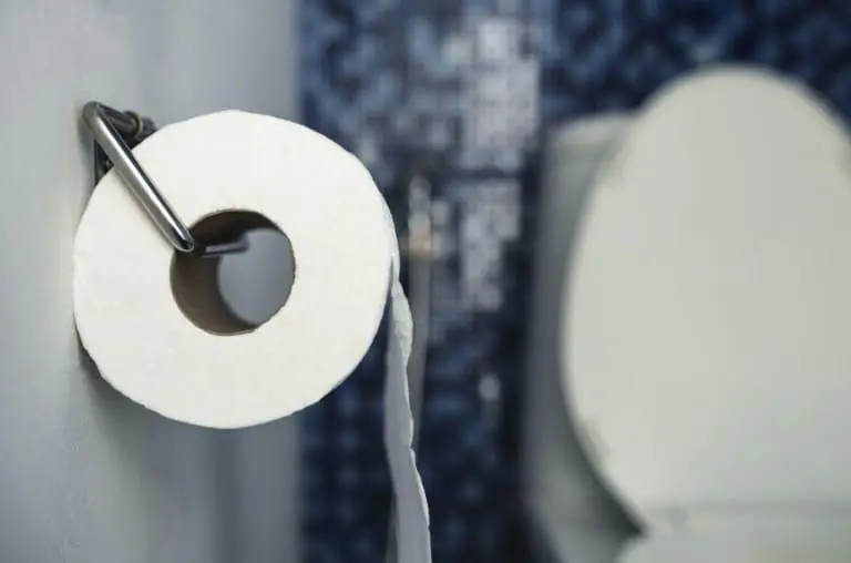 O que as pessoas utilizavam antes do papel higiênico?