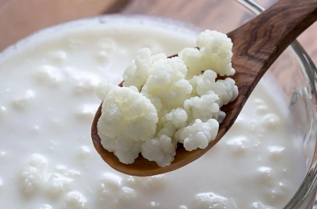 O que é o Kefir? Vale a pena acrescentar na sua rotina?