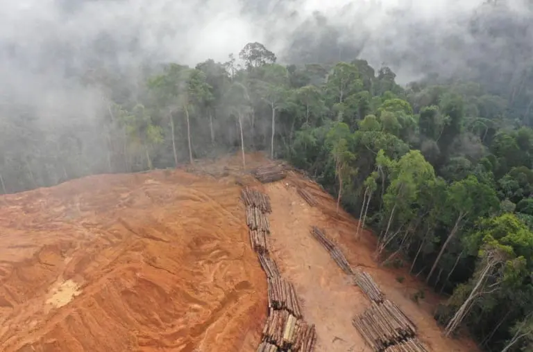 O que muda com o projeto de lei do licenciamento ambiental?