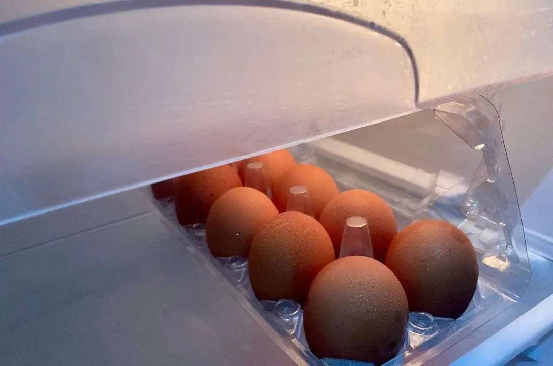 Ovo na geladeira ou fora? Descubra o jeito certo de guardar