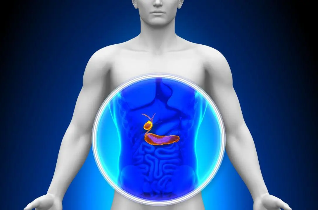 Paciente com diabetes tipo 1 volta a produzir insulina após cirurgia