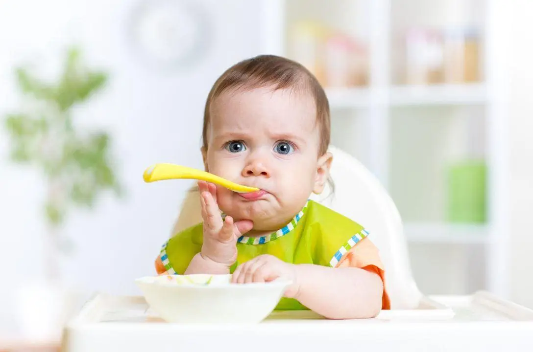 Papinhas industrializadas podem representar um grande risco ao desenvolvimento infantil