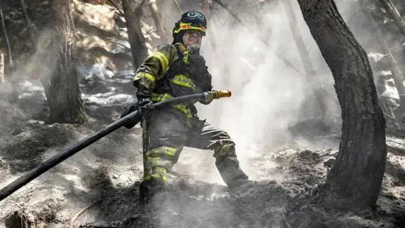 Pela Primeira Vez, Média Anual Supera 1,5 ºC - Implicações e Urgência de Ações