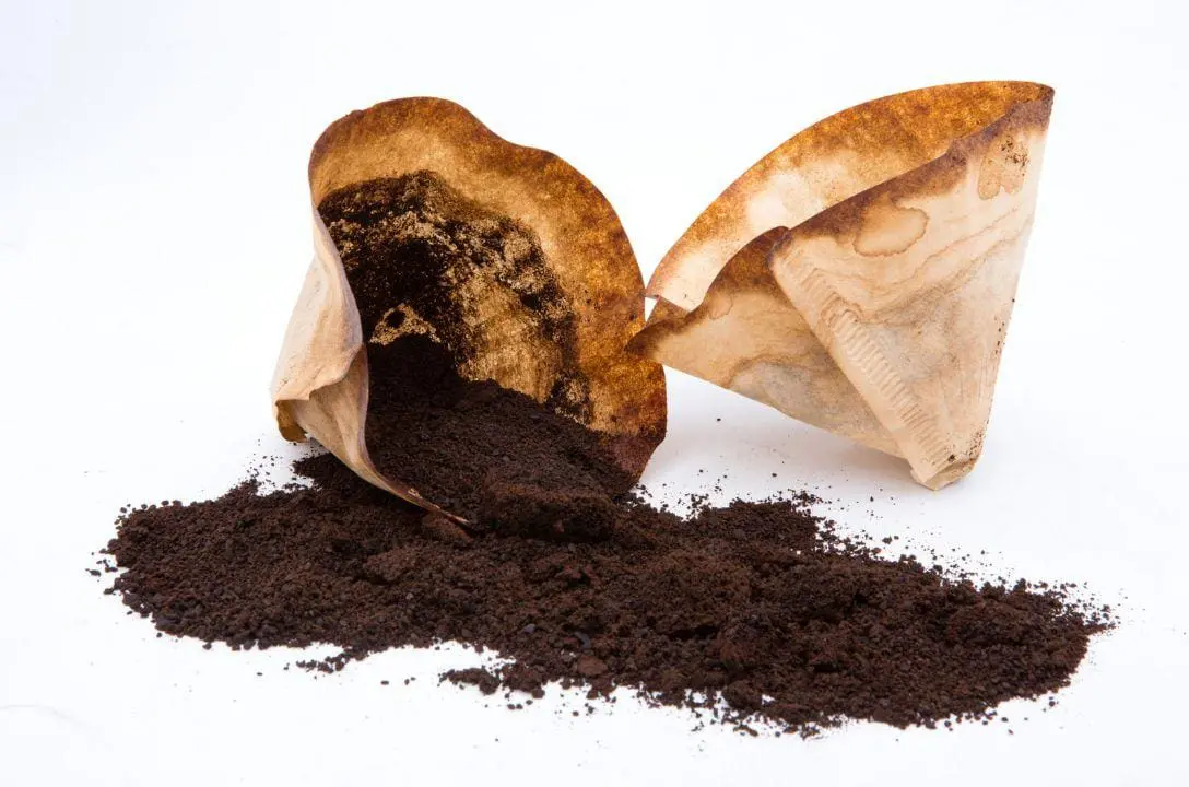 Pode descartar borra de café na pia ou é melhor jogar no lixo? Você provavelmente faz errado