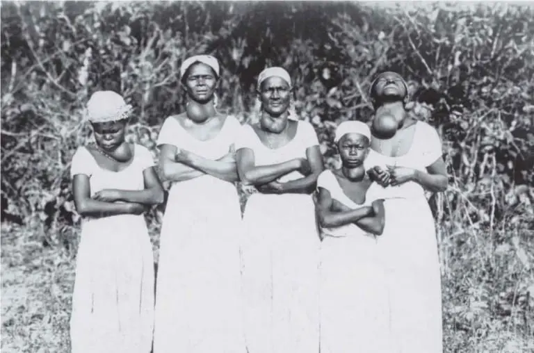 Por que o sal tem iodo? A história que mudou a saúde do mundo