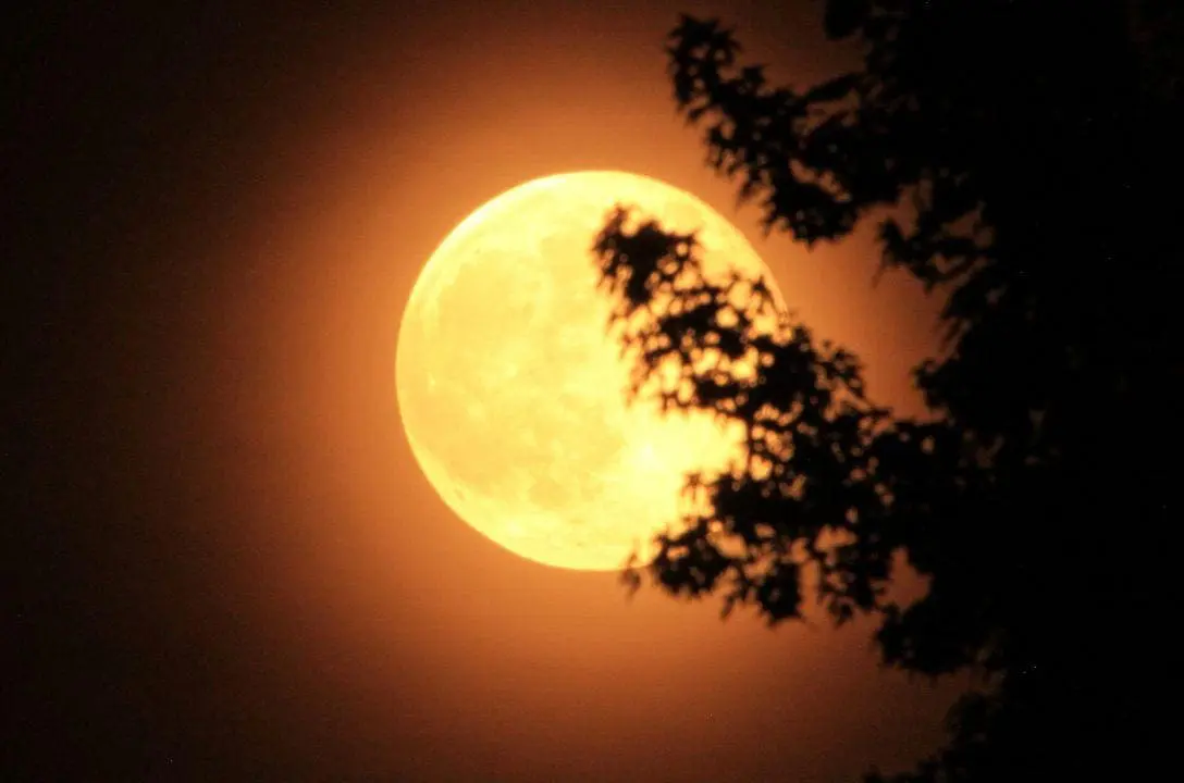 Primeira Superlua de 2026 acontece daqui a pouco, neste sábado