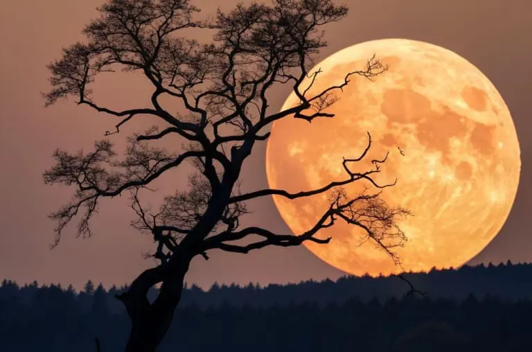 Primeira Superlua de 2026 surge em janeiro ao lado de Júpiter