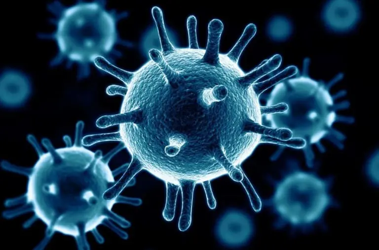 Primeiro caso de gripe K é confirmado no Brasil e acende alerta