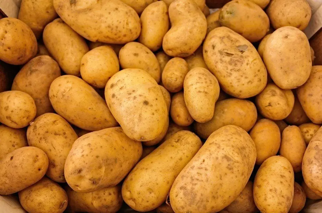 Qual o jeito certo de guardar batatas? Você provavelmente está fazendo errado.