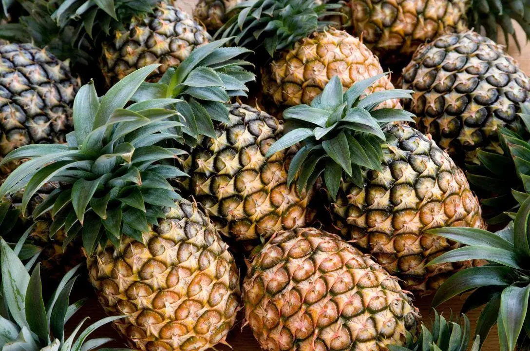 Tenha muito cuidado ao comprar essa fruta!