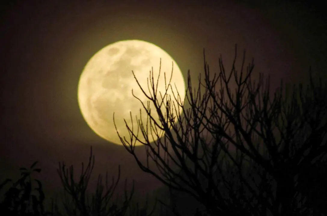 Última Superlua de 2024 ilumina o céu hoje – Veja como aproveitar o fenômeno