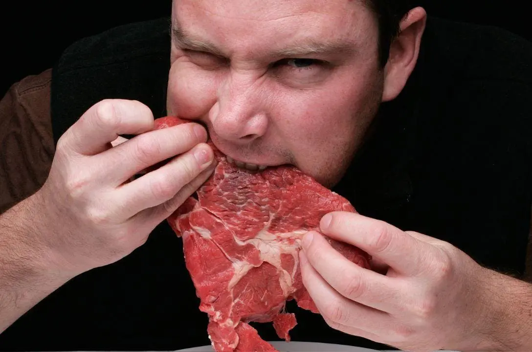 Um dia sem carne - O que aconteceria com o Planeta