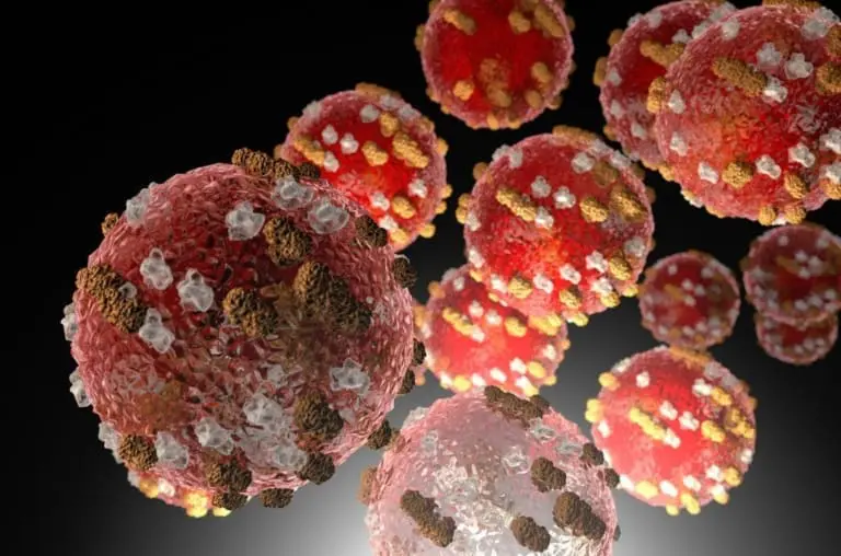 Vírus mais contagioso do mundo é detectado em aeroporto dos EUA